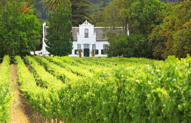Servicios privados de chofer en Ciudad del Cabo durante todo el día - Foto 3