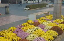 Modern Apartment in the center of San Pedro de Alcantara, Marbella - Photo 42