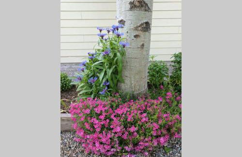 Spectacular Mountain Condo - Foto 37