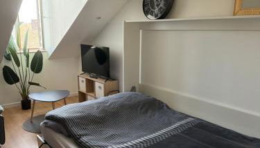 Studio secteur rives de meurthe - Foto 2