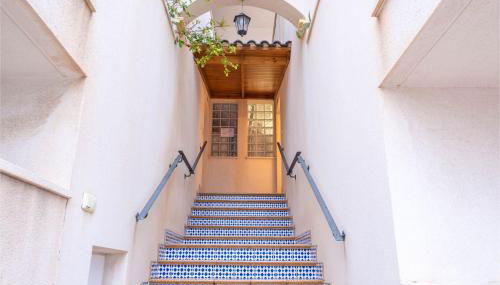 Geraneos DaRu - Foto 2