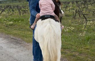 Les Appartements du Mas - EMERAUDE - Foto 48