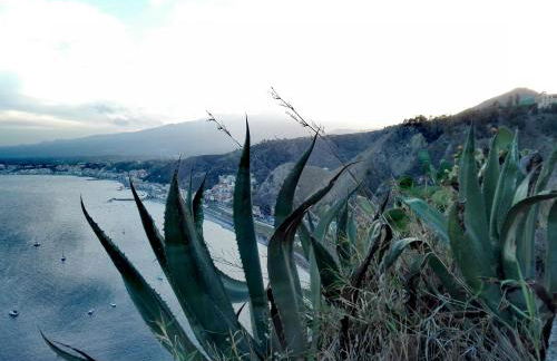 La terra dei ciliegi tra l'Etna e il mare di Taormina - Foto 66
