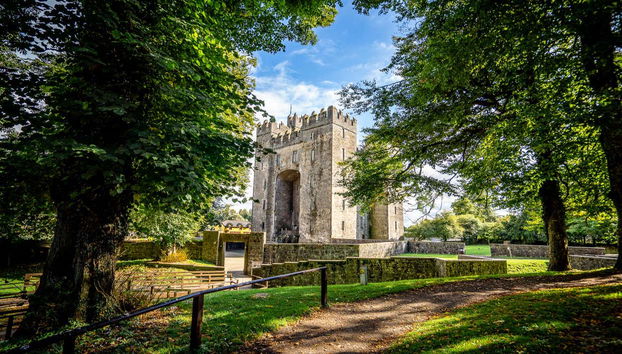Excursión a los acantilados de Moher, castillo de Bunratty y Ennis - Photo 2