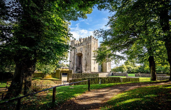 Excursión a los acantilados de Moher, castillo de Bunratty y Ennis - Foto 1