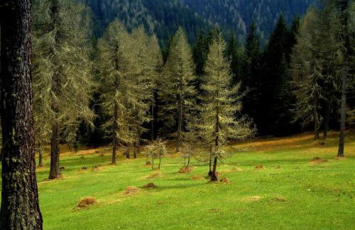 Residence Vis à Vis - Foto 16