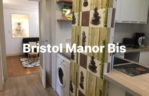 Bristol Manor Bel apt F3 face aux thermes Néris - Foto 14