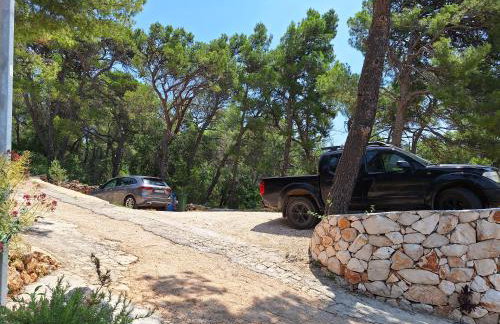 Apartman K. & M. KOLUMBIĆ - Foto 38