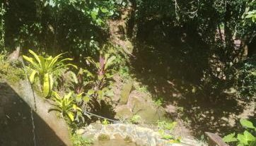 Cantinho da boa sorte - Sana - Foto 4