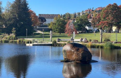 Apartment Schwarzwald-Anni Pool Tennis Sauna - Foto 25