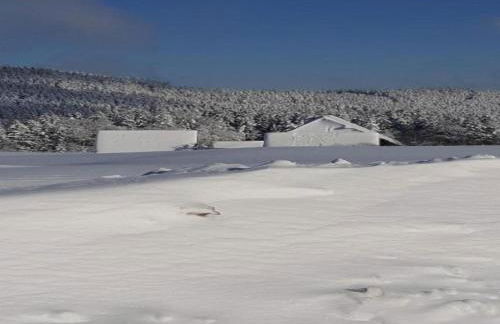Wohnung in Lauterbach Nahe Skipisten - Foto 64