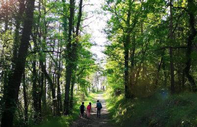 Lumineux Le Bugue - Foto 2