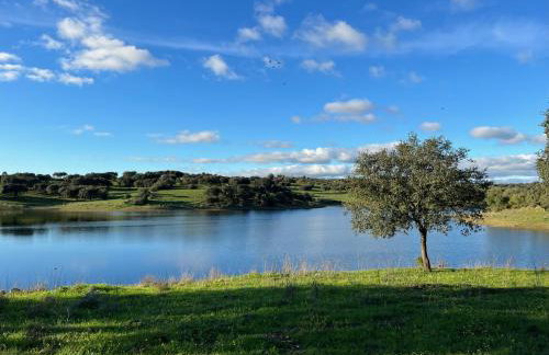 Herdade Terra rica - Photo 20