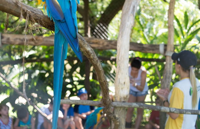 Hotel Fazenda Capoava - Photo 62