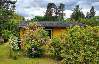 Ferienhaus Im Wäldchen in See Nähe - Photo 24