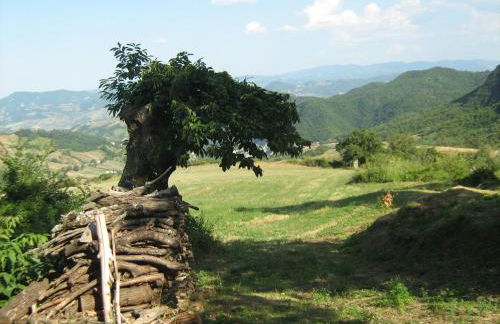La Piana Dei Castagni - Foto 28