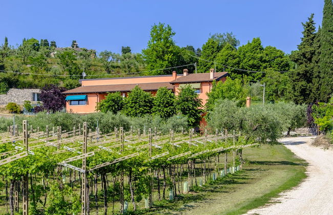 Agriturismo Al Colle - Photo 27