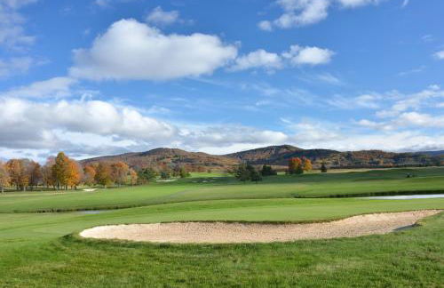 Panorama Point - Sauna, hot tub, theater room - Photo 69