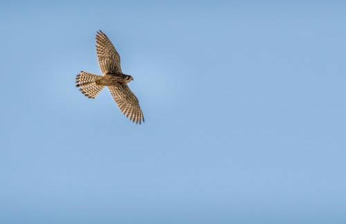 Penthouse Ventur - Foto 27