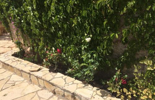 Anna's Stone House - Foto 56