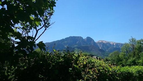 MSC Apartments Honeymoon - Foto 1