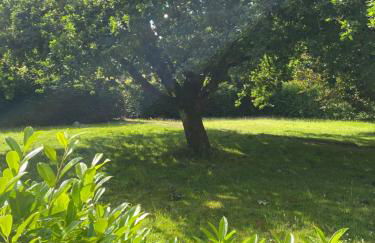 Altes Pastorenhus - Land und Meer - Foto 28