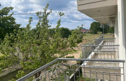 Elena M Fanari - Foto 27