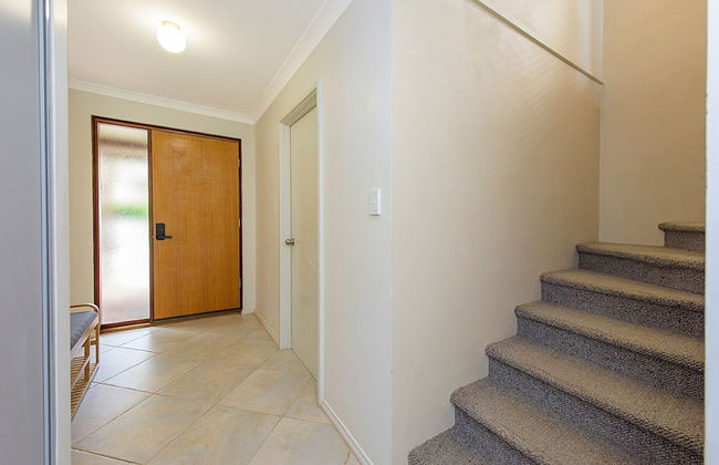 Bird's Nest - Foto 1