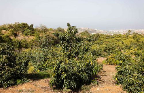 Las Ranas 1 - Foto 19