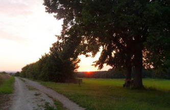 Exklusive Ferienwohnung Geisfeld - Foto 24