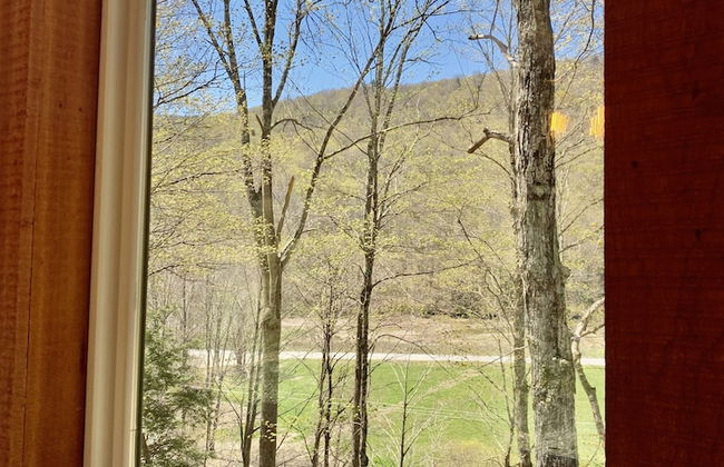 Eagle Ridge Treehouse - Foto 20