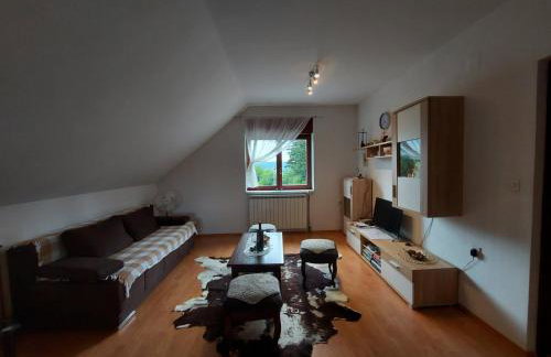 Apartman Skender 3* Ravna Gora - Foto 46