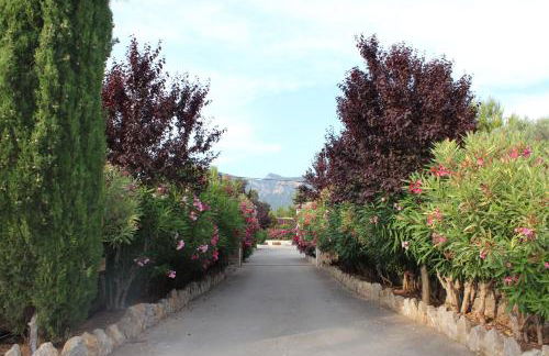 Ca's Garriguer Agroturismo - Foto 91