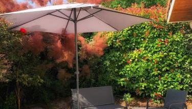 Maison paisible avec jardin - proche du lac de Sanguinet - Foto 2, Garden, sunbed, Garden view