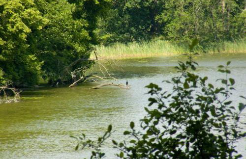 Noclegi & Przystań Marina - Agrokeya Chorzępowo - Foto 25