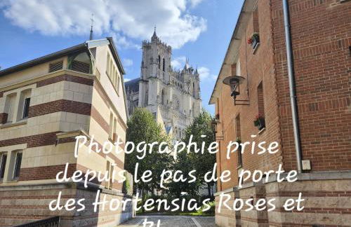 Les Hortensias Blancs Studio - Foto 1