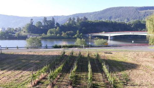 Ferienhaus in Mehring - Foto 3