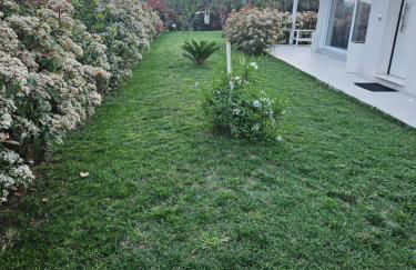 White House - Foto 29