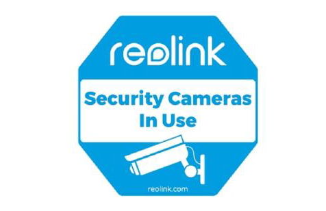 Waldhaus zum gechillten Hirsch in der Natur, bei der Moseltherme Traben-Trarbach - Foto 53