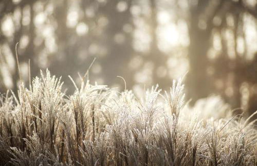 Charming Glamping Rental with Fireplace near Great Smoky Mountains National Park - Foto 23