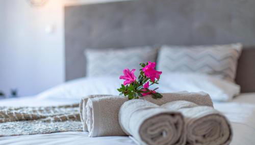 Carvão Pdl Inn - Photo 3