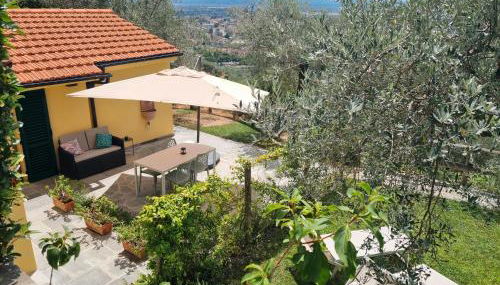 Agriturismo Villa Anna - Foto 2, Garden