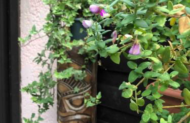 Pavilllon au calme à Lacanau Ocean, L'aubarède - Foto 12