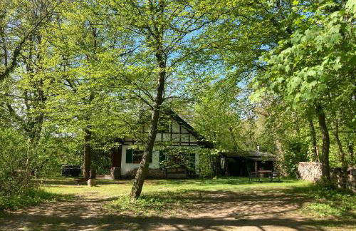 Haus am Wald - Foto 6