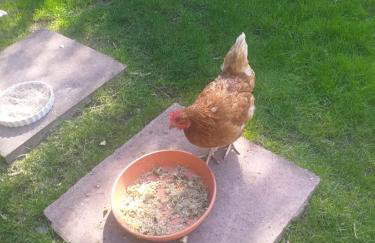 The LITTLE HOUSE in HULL - Foto 56