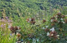 Libera Mente - Foto 49