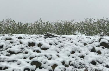 Quinta da Porta - Solar de Vale de Prazeres - Foto 55