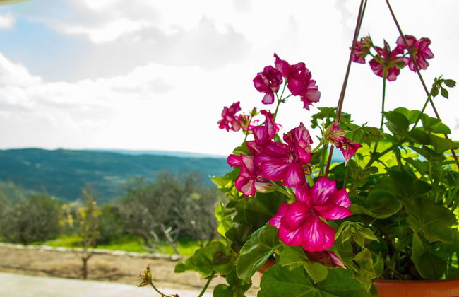 Erigone Cottage - Beautiful Ambiance - Foto 1