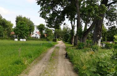 Grzybowo Dom wakacyjny - Foto 29