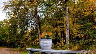 Beautiful Airstream Glamping Site for Romantic Weekends Away in North Carolina - Photo 5